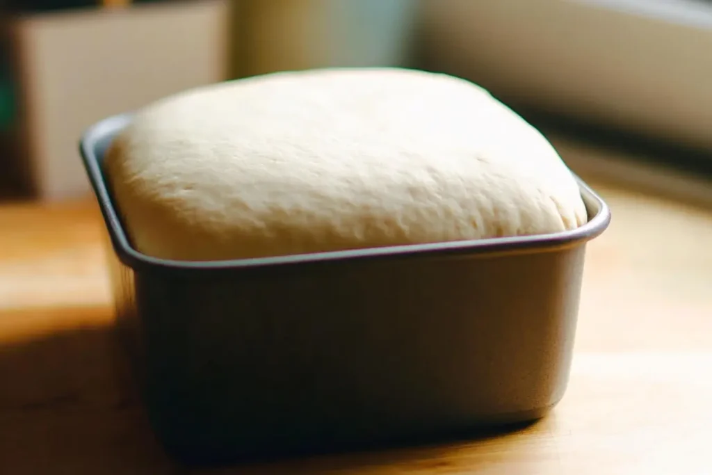 Shaped sourdough dough in a greased loaf pan, rising to double its size for baking